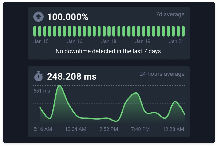 Website uptime and response time dashboard displaying 100% uptime and 248.208 ms average response time over 24 hours.